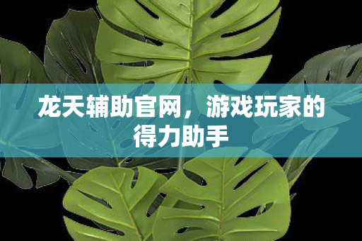 游戏玩家的得力助手图片