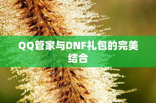 QQ管家与DNF礼包的完美结合图片