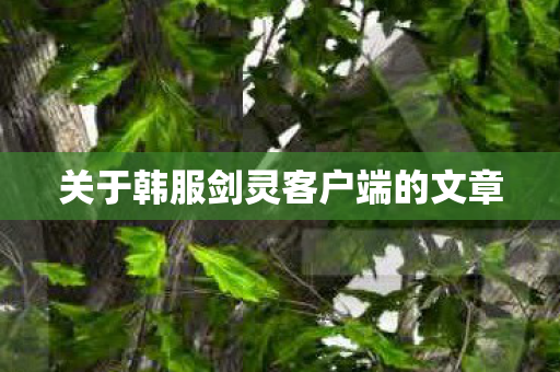 关于韩服剑灵客户端的文章图片