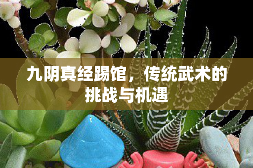传统武术的挑战与机遇图片
