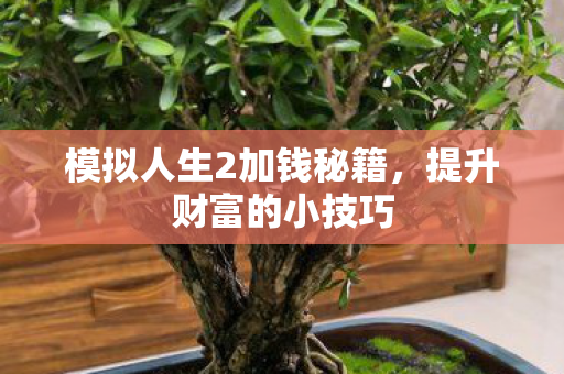模拟人生2加钱秘籍图片