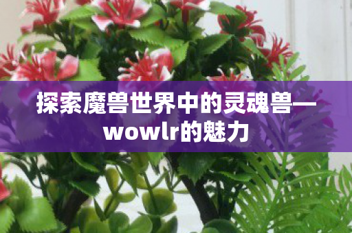 探索魔兽世界中的灵魂兽图片