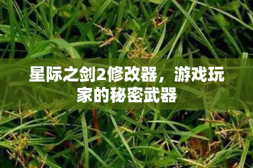 游戏玩家的秘密武器图片