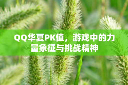 游戏中的力量象征与挑战精神图片