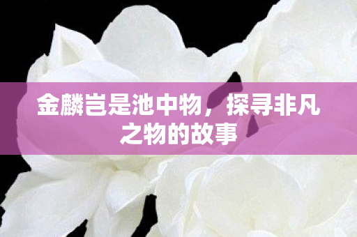 探寻非凡之物的故事图片