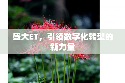 引领数字化转型的新力量图片