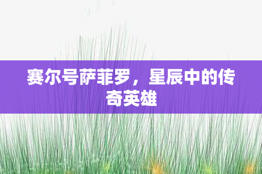 星辰中的传奇英雄图片