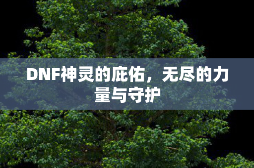 DNF神灵的庇佑图片