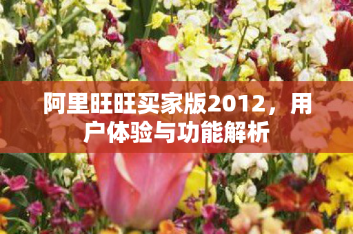 阿里旺旺买家版2012图片