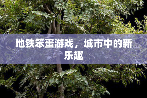 城市中的新乐趣图片