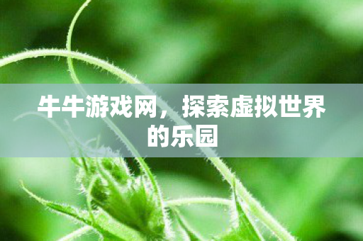 探索虚拟世界的乐园图片