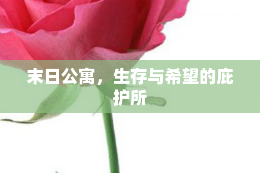 生存与希望的庇护所图片