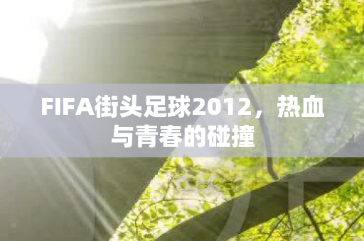 FIFA街头足球2012图片