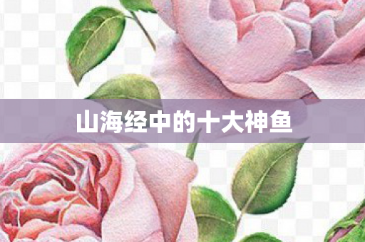 山海经中的十大神鱼图片