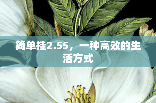 一种高效的生活方式图片