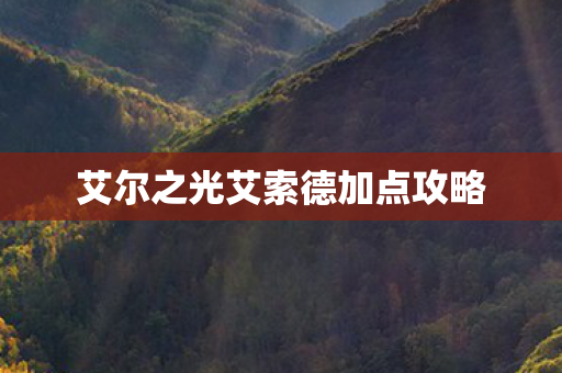 艾尔之光艾索德加点攻略图片