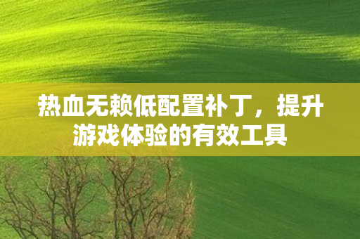 提升游戏体验的有效工具图片
