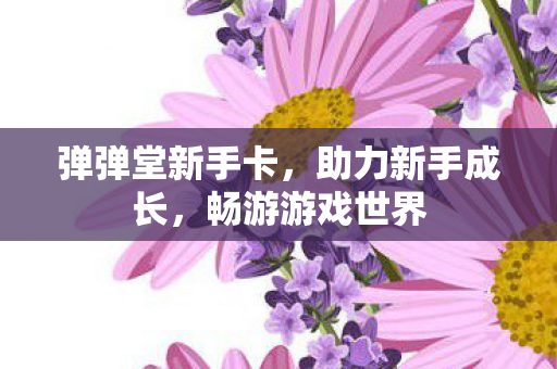 弹弹堂新手卡图片