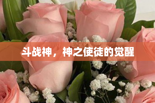 神之使徒的觉醒图片