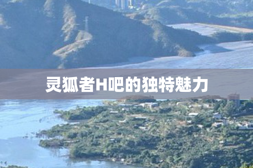 灵狐者H吧的独特魅力图片