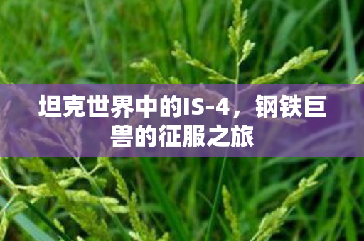 钢铁巨兽的征服之旅图片