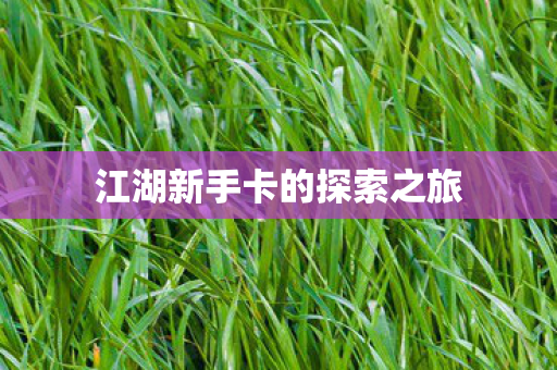 江湖新手卡的探索之旅图片