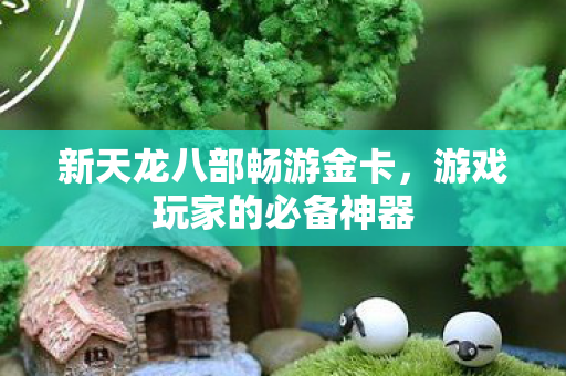 新天龙八部畅游金卡图片