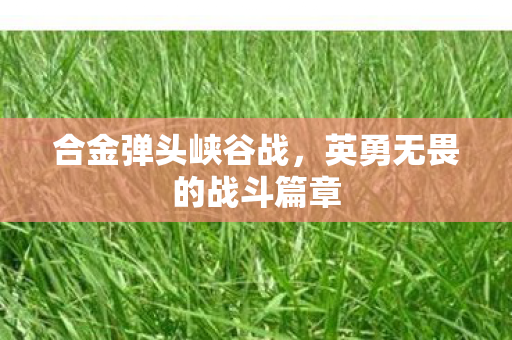 英勇无畏的战斗篇章图片
