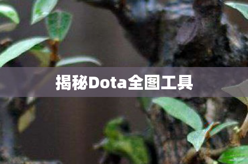 揭秘Dota全图工具图片