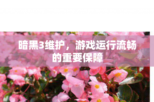 游戏运行流畅的重要保障图片