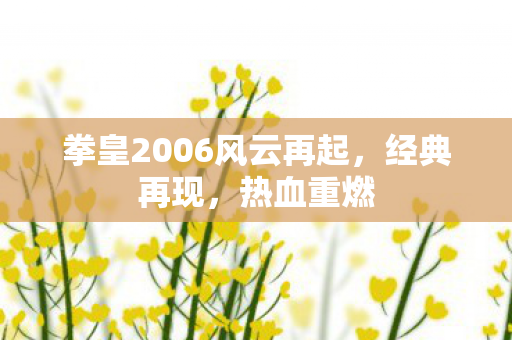 拳皇2006风云再起图片