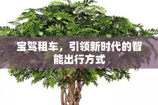 引领新时代的智能出行方式图片