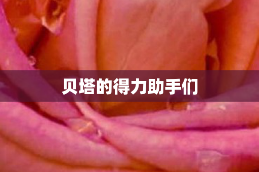 贝塔的得力助手们图片