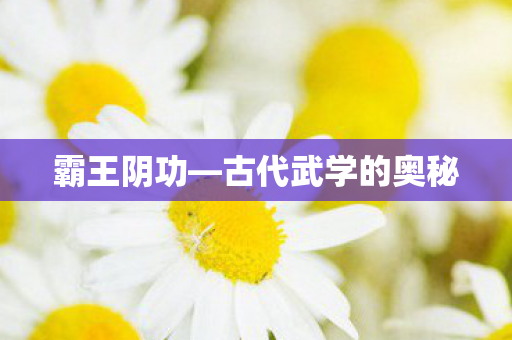 古代武学的奥秘图片