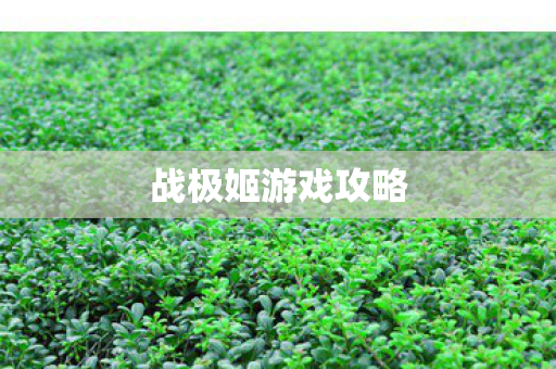 战极姬游戏攻略图片