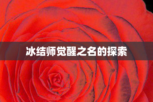 冰结师觉醒之名的探索图片