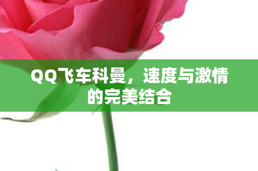 速度与激情的完美结合图片