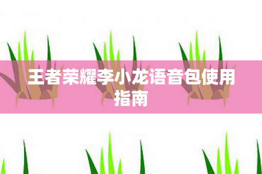 王者荣耀李小龙语音包使用指南图片