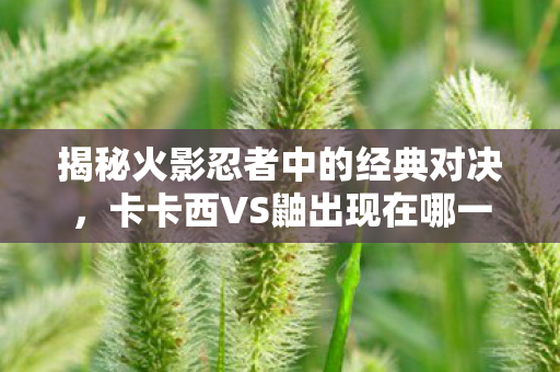 揭秘火影忍者中的经典对决图片