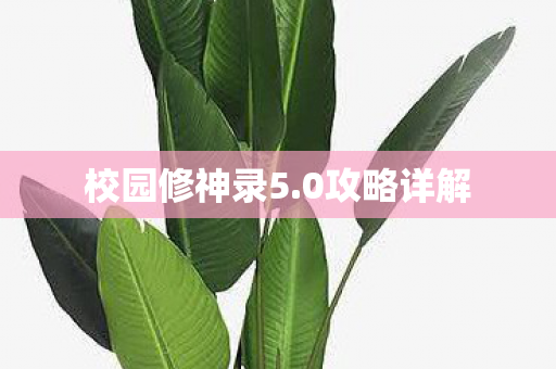 校园修神录5图片