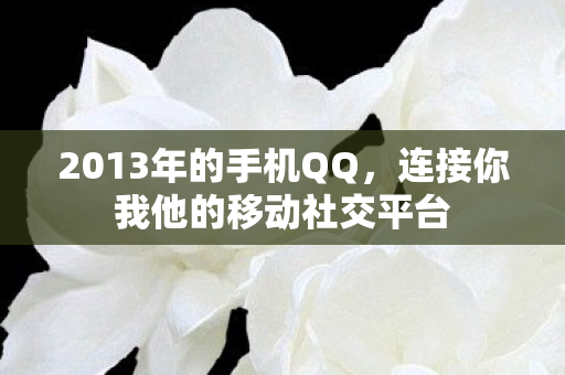 连接你我他的移动社交平台图片