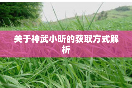 关于神武小昕的获取方式解析图片