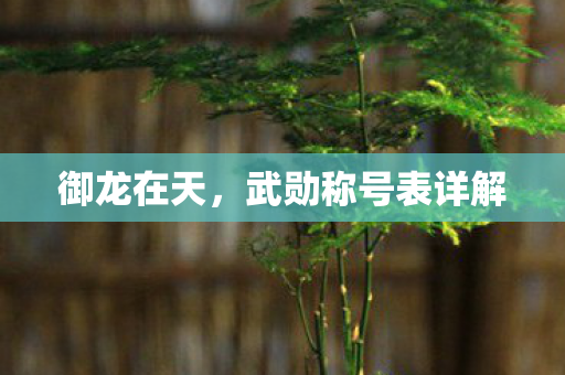 武勋称号表详解图片