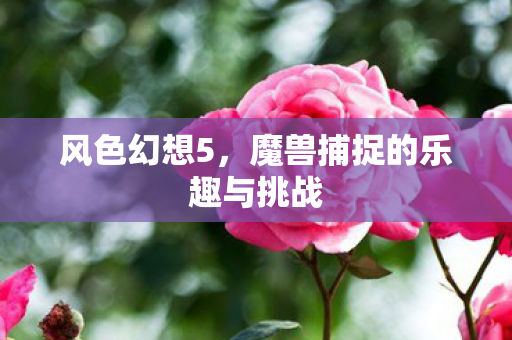 魔兽捕捉的乐趣与挑战图片