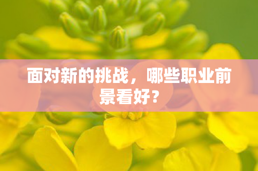 哪些职业前景看好图片