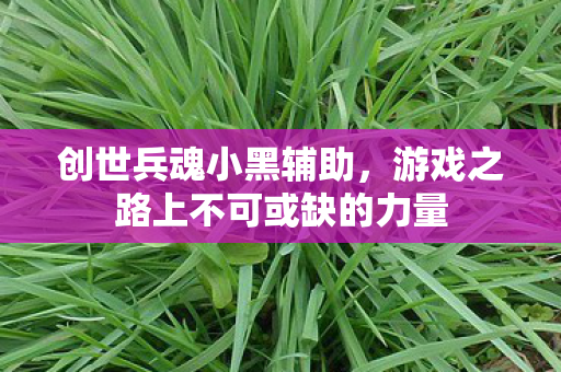 游戏之路上不可或缺的力量图片