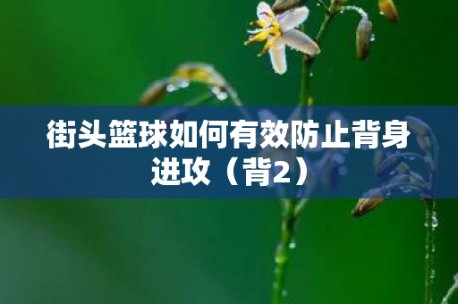 街头篮球如何有效防止背身进攻图片