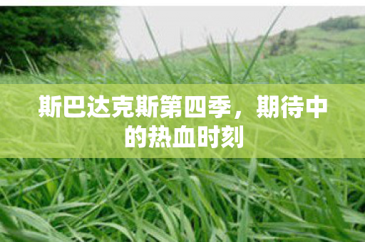 斯巴达克斯第四季图片