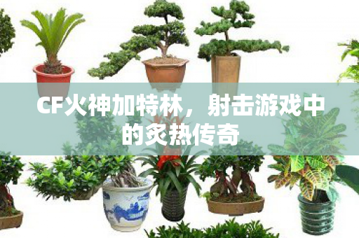 射击游戏中的炙热传奇图片
