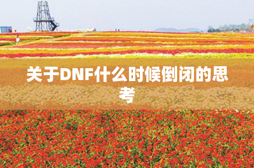 关于DNF什么时候倒闭的思考图片